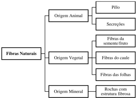 Figura 7. Classificação de fibras naturais, adaptação (Nakamura, 2000). 