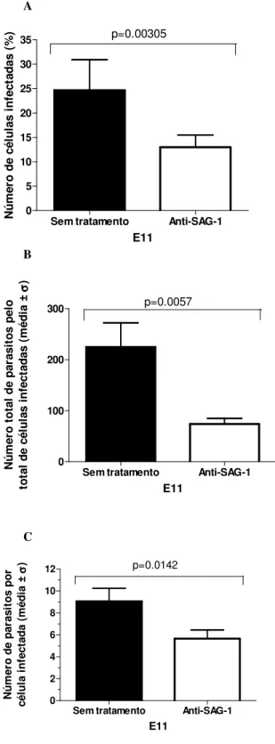 Figura 8. Efeito do pré-tratamento de T. gondii com anti-SAG1 sobre a infecção de células  de  embrião  de  galinha  E11