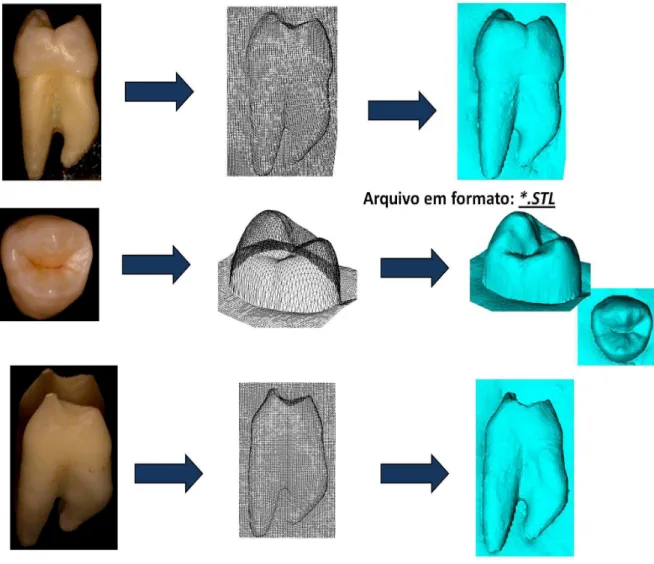 Figura 4. Escaneamento de esmalte e dentina e geração de arquivo STL*. 