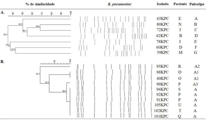 Figura 4. Dendrograma UPGMA dos isolados clínicos de  K. pneumoniae recuperados  dos  dois  surtos  usando  coeficiente  de  Dice  abaixo  de  1,25%  de  tolerância  e  0,5%  de  otimização