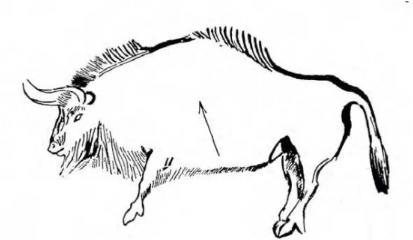 Figura 1 – Bisonte da caverna de Niaux (Ariège), Hauser, 1951, p.17.