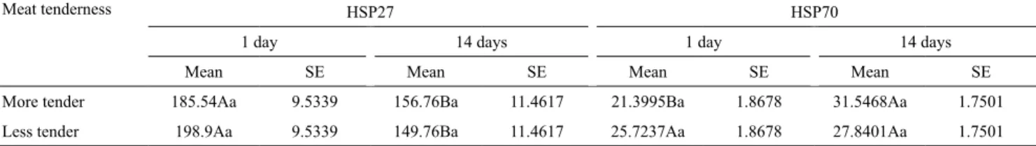 Table 3.  Mean and standard error (SE) estimates of the concentrations of heat shock proteins 27 (HSP27) and 70 (HSP70), at  1 and 14 days of aging, regarding the tenderness of Longissimus dorsi beef from Simmental South African x Nellore cattle (1) .
