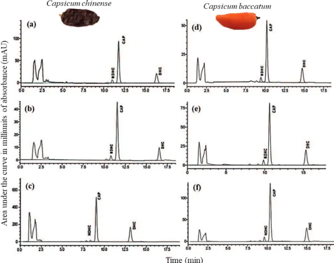 Figure 2. Chromatogram showing the capsaicinoids in the pericarp (a), seeds (b) and placenta (c) of Capsicum chinense fruits; and  in the pericarp (d), seeds (e) and placenta (f) of C