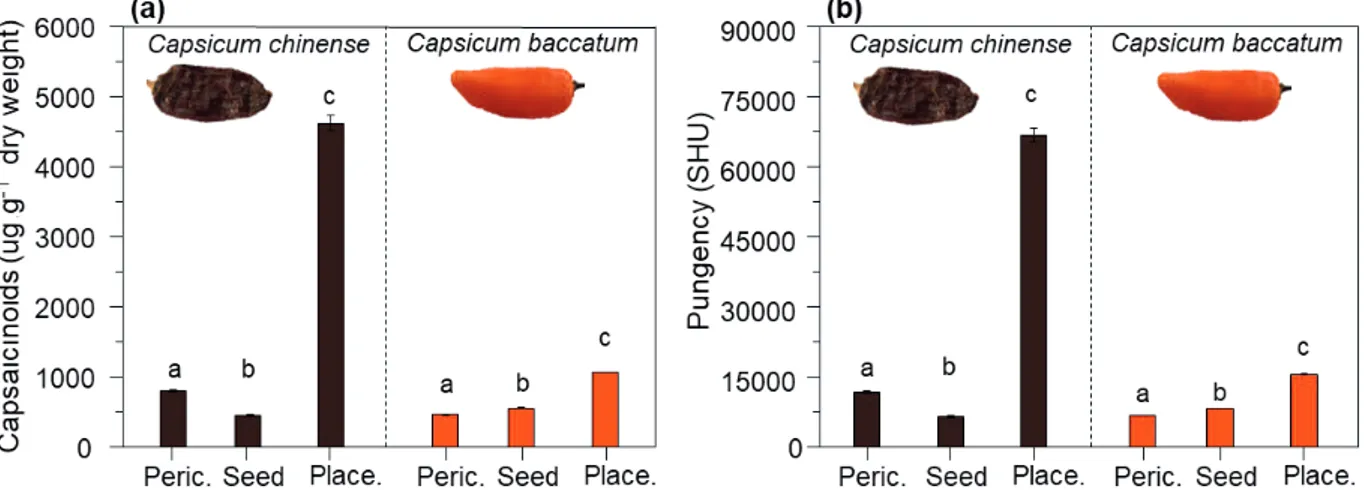 Figure 3. Averages (± SE) of total capsaicinoides (a) and pungency (b) (expressed in Scoville Units - SHU) of Capsicum chinense  and C