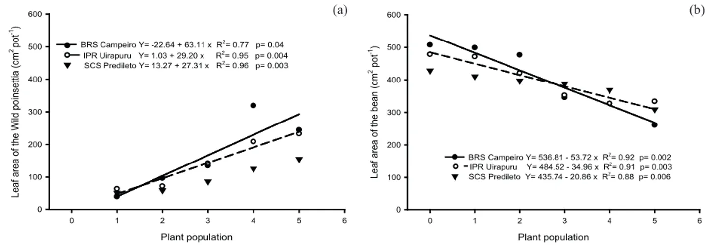 Figure 1. Leaf area (cm 2 ) of wild poinsettia (a) and bean (b), due to competition between the black bean cultivars and weed population.