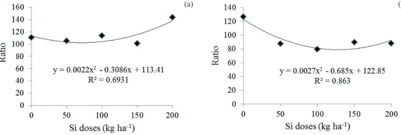 Figure 3. Maturity index of Sunrise melon fruits, as a function of silicon doses for the irrigation levels of 100 % (a) and 40 % (b)  of the ETc.