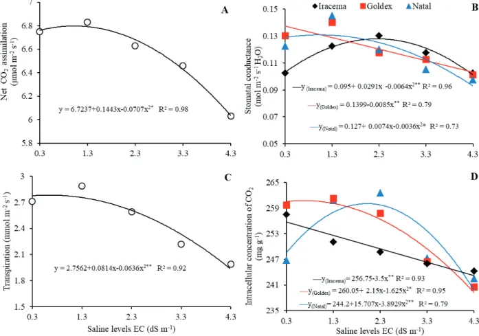 Figure 3. Net CO 2  assimilation (A), stomatal conductance (B), transpiration (C) and intercellular concentration of CO 2  (D), in melon  cultivars submitted to soil salinity.
