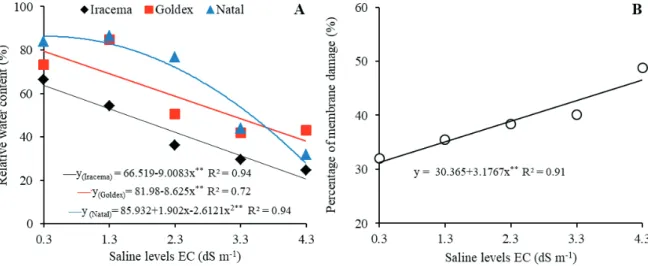 Figure 4. Relative water content (A) and percentage of membrane damage (B) in melon cultivars submitted to soil salinity.
