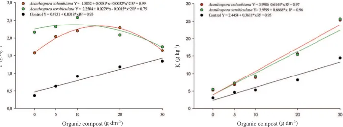 Figure 2. Phosphorous content in the leaves of soursop seedlings  inoculated with AMF, in response to organic compost  doses.