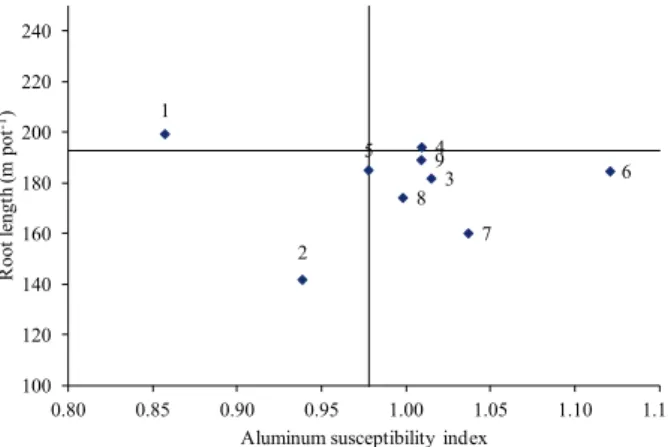 Figure 1. Distribution of lines into quartiles, according to the  root length without aluminum in the solution and  susceptibility index of root growth to aluminum  toxicity, at points determined by the average root  length (without aluminum) + 75 % of the