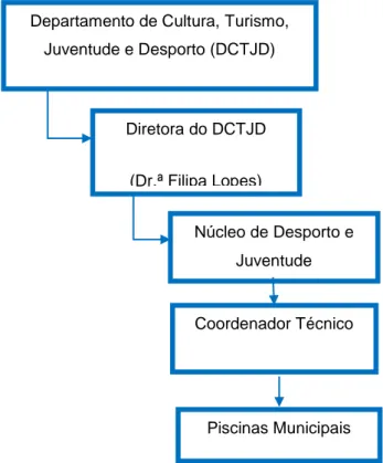 Figura n.º 1 – Organograma do Departamento de Cultura, Turismo, Juventude e Desporto  (DCTJD)