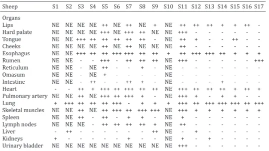 Table 4. Sheep subjected to necropsy and type of sample  sent to RT-PCR assay