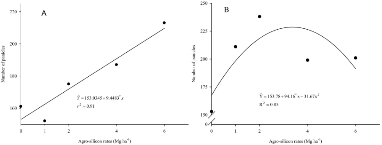 Figure 1. Number of panicles as a function of agro - silicon rates (Mg ha -1 ) on microbiolized (A) and non - microbiolized (B)  seeds of the rice variety BRS - Primavera with Bacillus methylotrophicus, in the 2014 - 2015 crop season