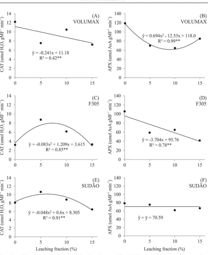 Figure  3. Activity of catalase (CAT - A, C and E) and ascorbate peroxidase (APX - B, D and F) in irrigated forage sorghum  varieties with saline aquaculture effluent, subjected to different leaching fractions.