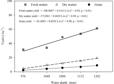 Figure  2.  Effects  of  supplementary  irrigation  depths  with  saline  water  plus  rainfall  (976,  1,048,  1,096,  1,152,  and                   1,202 mm year -1 ) on fresh and dry matter as well as grain yields of double aptitude sorghum intercropped