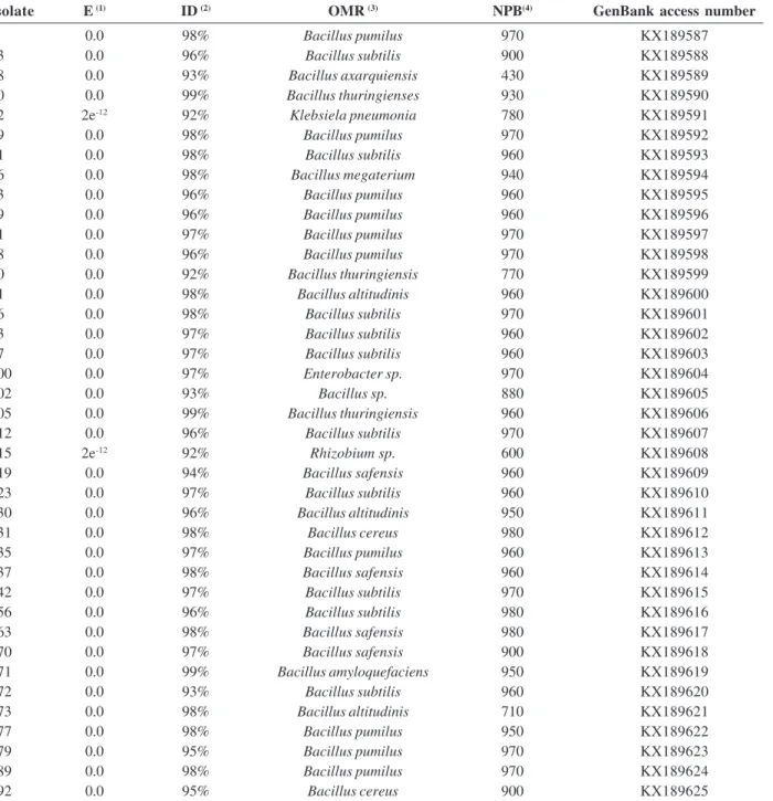 Table 1: Identification of the endophytic bacteria of ‘Prata Anã’ banana roots based on the identity of the partial sequence of the 16S rDNA gene