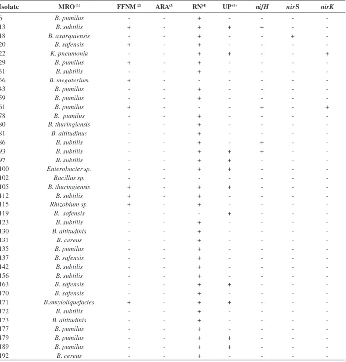 Table 2:  Biochemical tests for nitrogen fixation with film formation in NFb semi-solid medium, acetylene reduction, nitrate test and urease activity, and DNA amplification results of bacterial isolates to verify the presence of the nifH, nirS and nirK gen