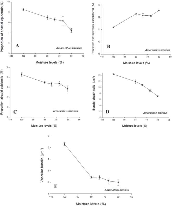 Figure 2: Proportion of adaxial epidermis (A), proportion homogeneous parenchyma (B), abaxial epidermis (C), bundle sheath cells (D), and vascular bundle (E) of Amaranthus hybridus leaf grown at different soil moisture levels.