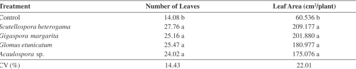 Table 1: Number of leaves and leaf area (cm 2 /plant) of the citrus rootstock ‘Fepagro C37 Reck’ submitted to the inoculation of four species of arbuscular mycorrhizal fungi (Scutellospora heterogama, Gigaspora margarita, Glomus etunicatum e Acaulospora sp