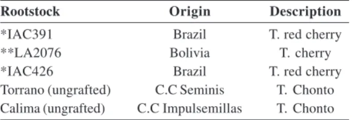 Table 1: Genotypes of cherry tomato used as rootstocks and