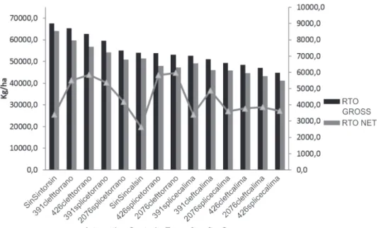 Figure 1: Duncan’s test of multiple range for variables net yield (kg / ha) (RTO NET), gross yield (kg / ha) (RTO), and total loss (PERD) on the effect of grafting of commercial genotypes of tomato (Solanum spp.) on production and fruit quality.