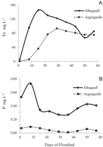 Figure 3: Fe (a) and P (b) concentrations in soil solution for the two studied soils: Albaqualf and Argiaquoll.