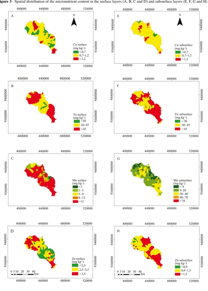 Figure 3 - Spatial distribution of the micronutrient content in the surface layers (A, B, C and D) and subsurface layers (E, F, G and H)