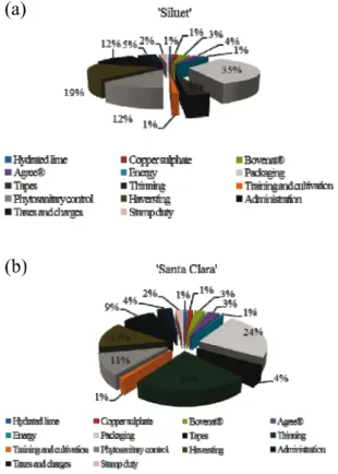 Figure 1 - Items that make up the circulating capital of the production cost of: a) ‘Siluet’ and b) ‘Santa Clara’, under organic cultivation in a protected environment