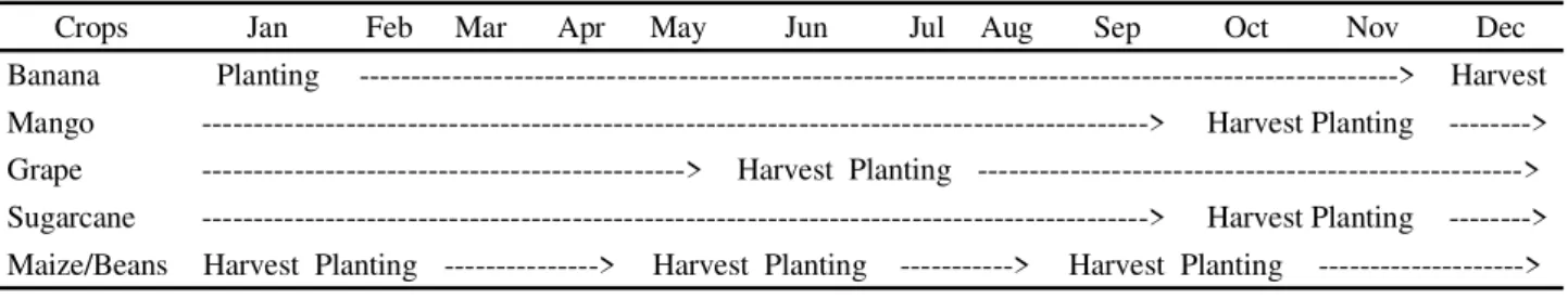 Table 3 - Crop calendar standardized for banana, mango, grape, sugarcane, maize and beans crops