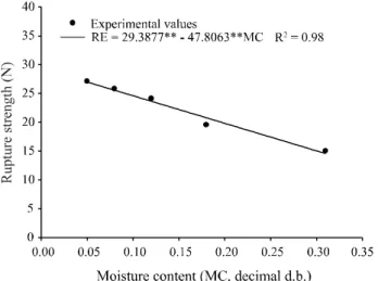 Figure  2  -  Curvature  radius  of  the  seeds  of Raphanus sativus in the region of contact between the seeds and the compression plate; L: length