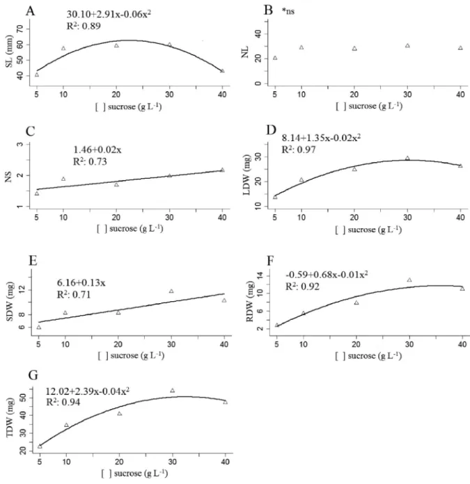 Figure 4 - Effect of different sucrose concentrations on: A- shoot length (SL), B- number of leaves (NL), C- number of shoots (NS), D- leaf dry weight (LDW), E- shoot dry weight (SDW), F- root dry weight (RDW), and G- total dry weight (TDW) of C.