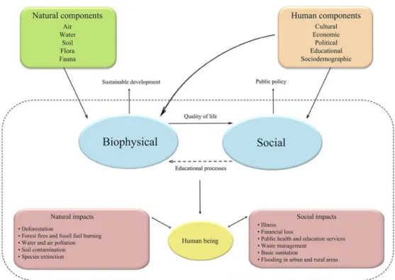 Figure 1. The impacts of environmental problems in the context of the amazon: 