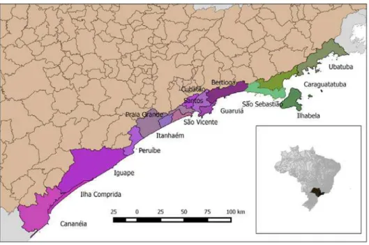Figure 2: coastline of the state of são Paulo: southern municipalities in shades of  pink, northern municipalities in shades of green, state of são Paulo highlighted on  the map of Brazil on the right.