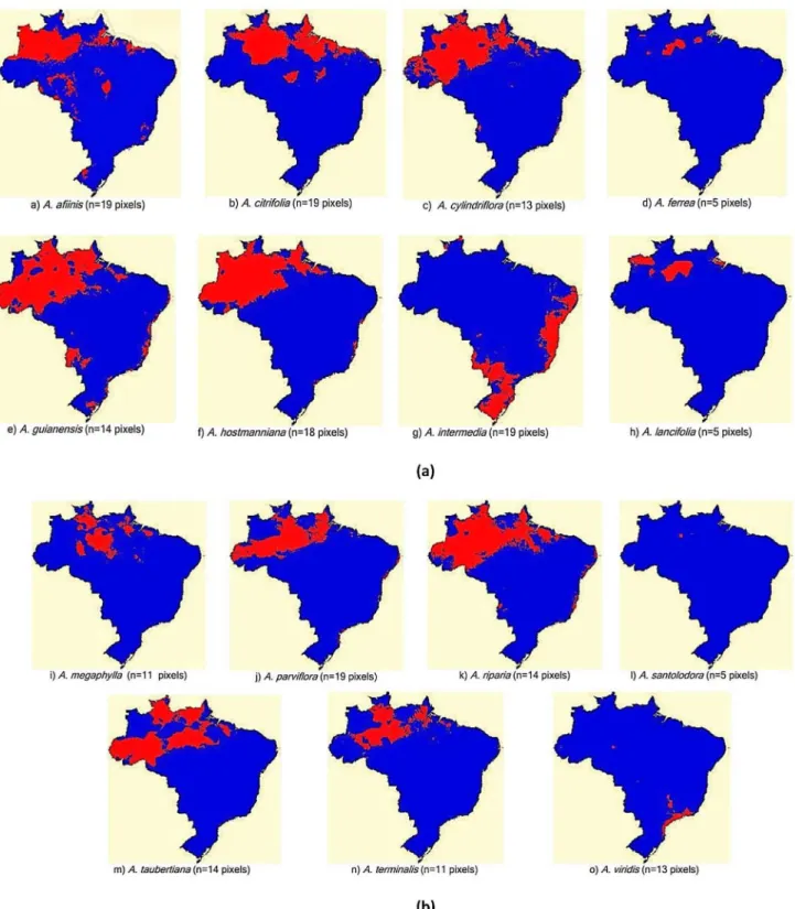 Figure 2. Potential distribution of Aniba species with 5 to 19 pixels. The colors represent areas of agreement between algorithms: red, 2 algorithms, and  blue less than 2 algorithms.