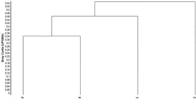 Figure 4. Dendrogram of similarity between the four sample blocks in 1 ha of Ombriphilous Dense Montane Forest, at 800 m elevation, Serra  do Mar State Park, Ubatuba – SP.