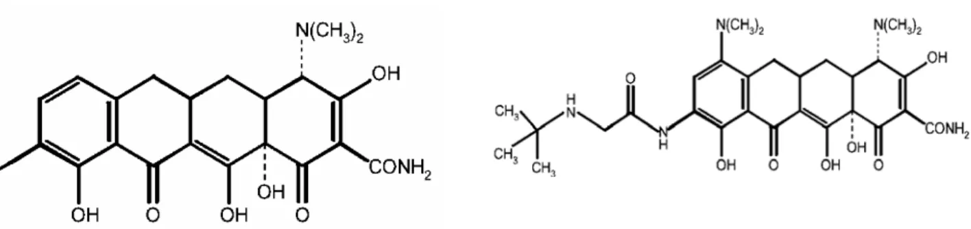 Figure 1. Basic structure of the glycylcyclines Figure 2. Structure of tigecycline