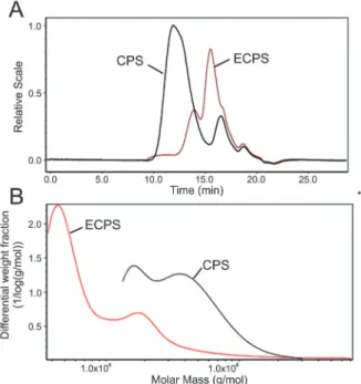Figure 1. SEC-MALLS-relative intensity result for enzymatically hydrolyzed Cuscuta chinensis polysaccharides (ECPS) and Cuscuta chinensis polysaccharides (CPS) dissolved in 0.1 M sodium chloride solution at 24°C