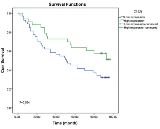 Figure 2. Correlation of CHD 9 expression and the prognosis of colorectal cancer.
