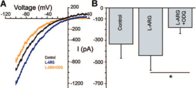 Figure 7. NO modulates purinergic current by the cGMP pathway. A, I  V plots for the ATP-evoked currents in control condition (black), after 10 min of treatment with 8-Br-cGMP (dark blue), and after 10 min incubation with 8-Br-cGMP + ODQ (orange)