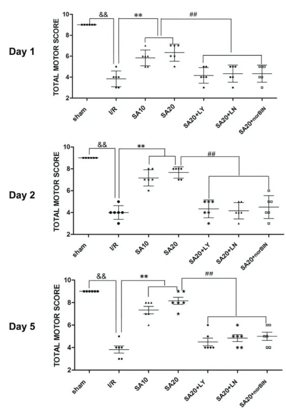 Figure 8. Effect of salvinorin A treatment on motor function was evaluated on days 1, 2, and 5 after forebrain ischemia