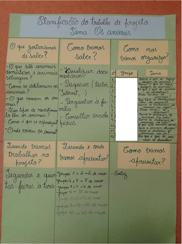 Figura 1. Mapa do Projeto sobre os animais.  