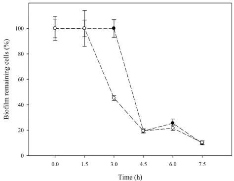 FIGURE 3. Evolution of glass attached cells from 24-hour biofilms after exposure to 5  750 