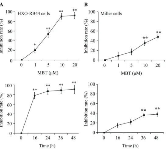Figure 1. Effects of 2-methyl-2-butanol (MBT) on HXO-RB44 cells (A) and Miller cells (B) (n=6)
