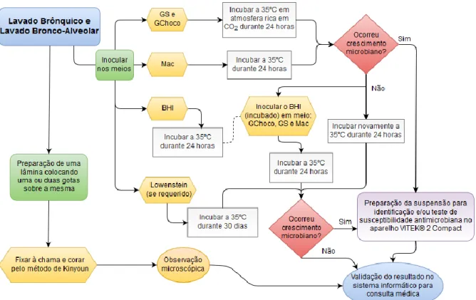 Figura 12 - Processo laboratorial dos lavados brônquico e bronco-alveolar no SPC. 