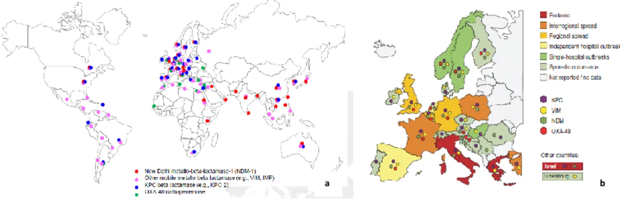 Figura 9  -  Distribuição de Enterobacteriaceae produtoras de carbapenemases no Mundo (a) e na  Europa (b) (adaptado de a - ECDC, 2011; b - Cantón et al, 2012)