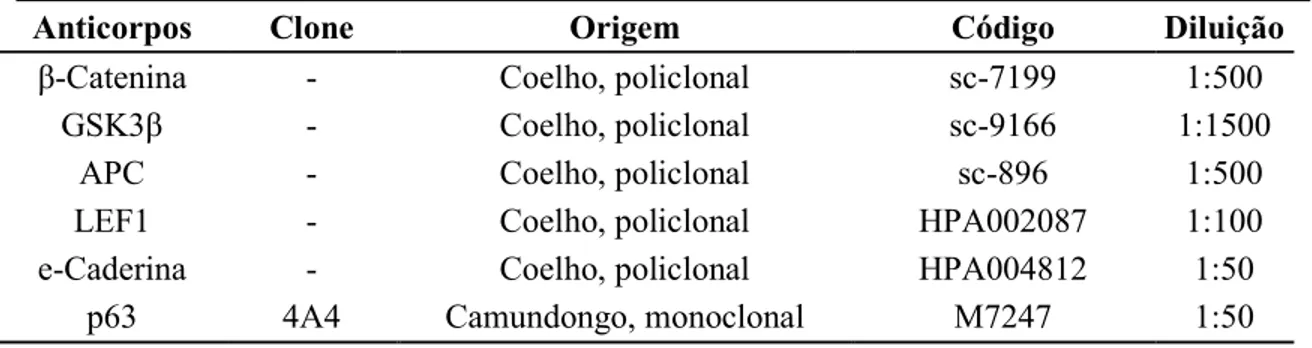 Tabela I- Lista de anticorpos, clone, origem e diluição 