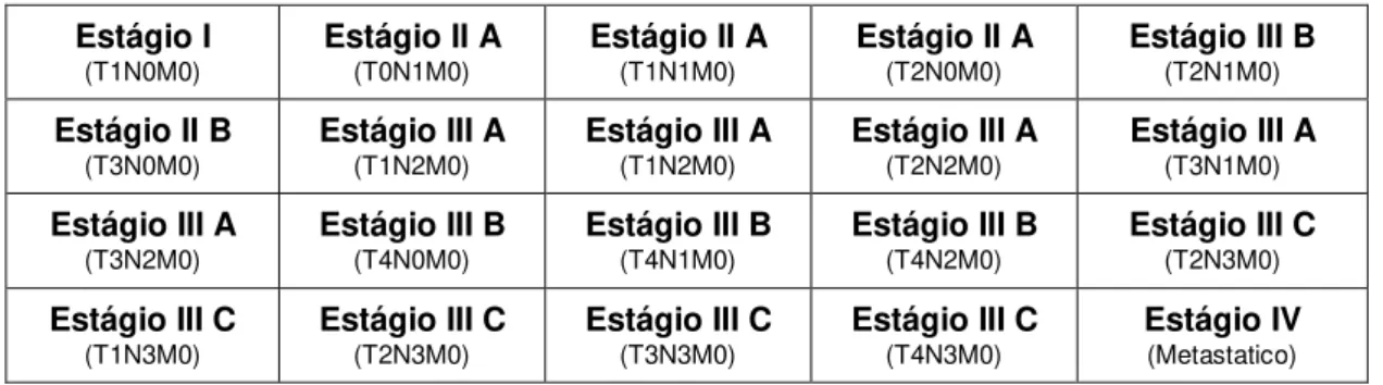 Tabela 2. Estágios tumorais a partir da classificação TNM  Estágio I  (T1N0M0) Estágio II A (T0N1M0) Estágio II A (T1N1M0) Estágio II A (T2N0M0) Estágio III B (T2N1M0) Estágio II B  (T3N0M0) Estágio III A (T1N2M0) Estágio III A (T1N2M0) Estágio III A (T2N2