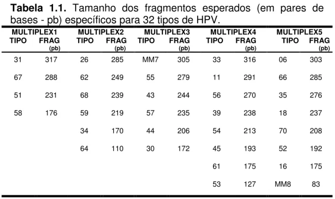 Tabela  1.1.  Tamanho  dos  fragmentos  esperados  (em  pares  de  bases - pb) específicos para 32 tipos de HPV