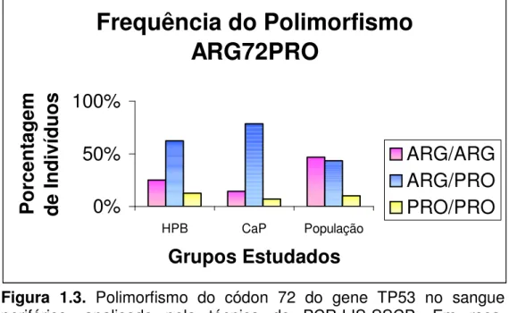 Figura  1.3.  Polimorfismo  do  códon  72  do  gene  TP53  no  sangue  periférico,  analisado  pela  técnica  de  PCR-LIS-SSCP