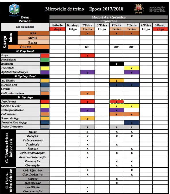 Figura 8- Exemplo de Microciclo 